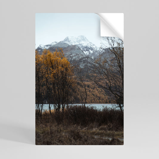 AUTUMN'S SILENT EMBRACE Póster Autocolante Vertical
