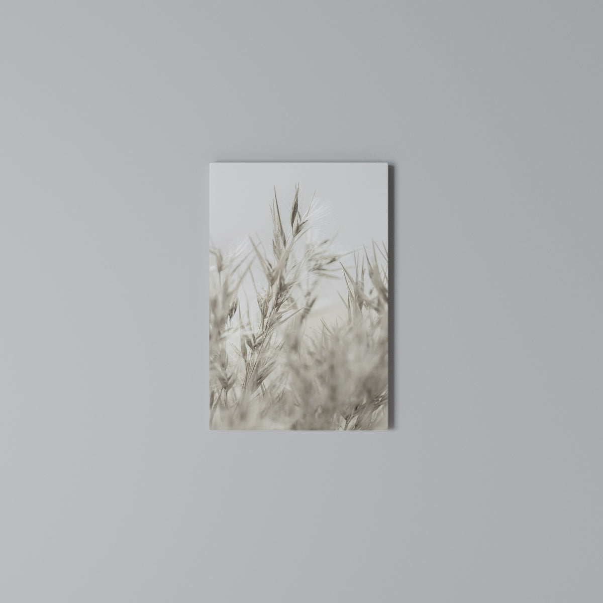 TRANQUIL GRASSES Quadro em tela vertical