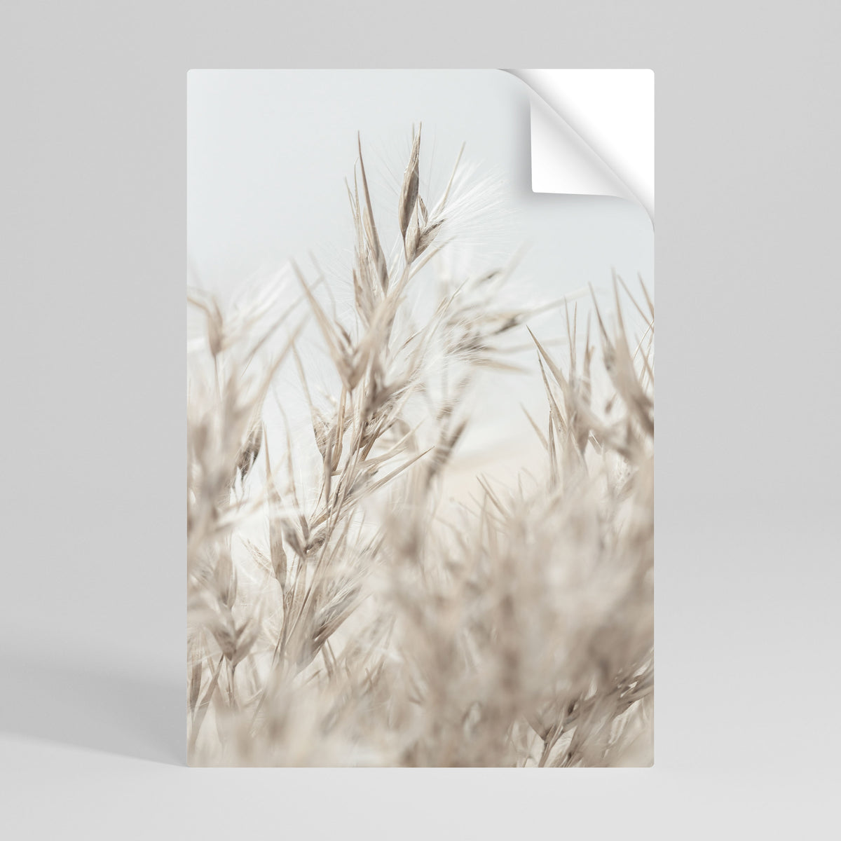 TRANQUIL GRASSES Póster Autocolante Vertical