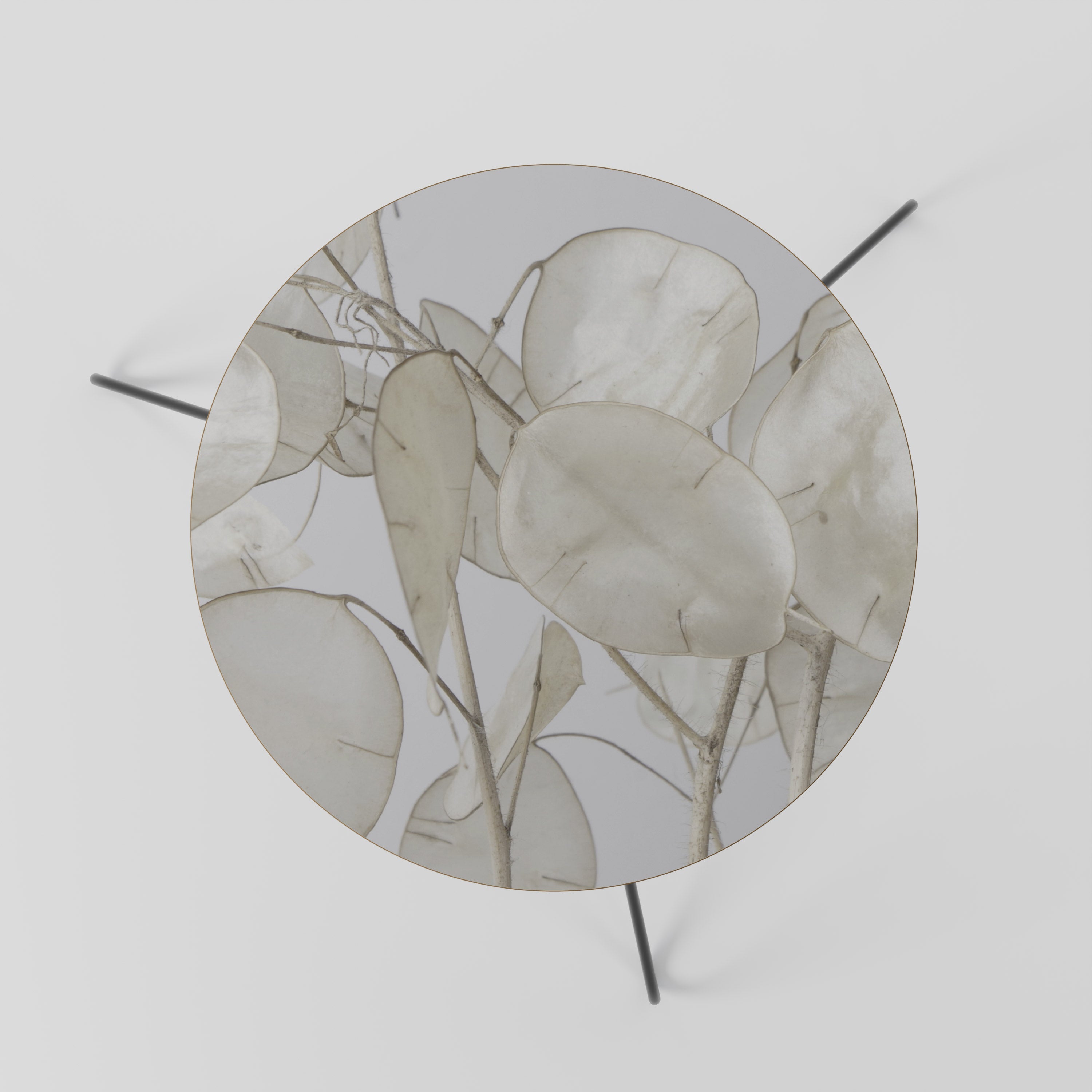 SILKY FOLIAGE WHISPERS Coffee Table 60