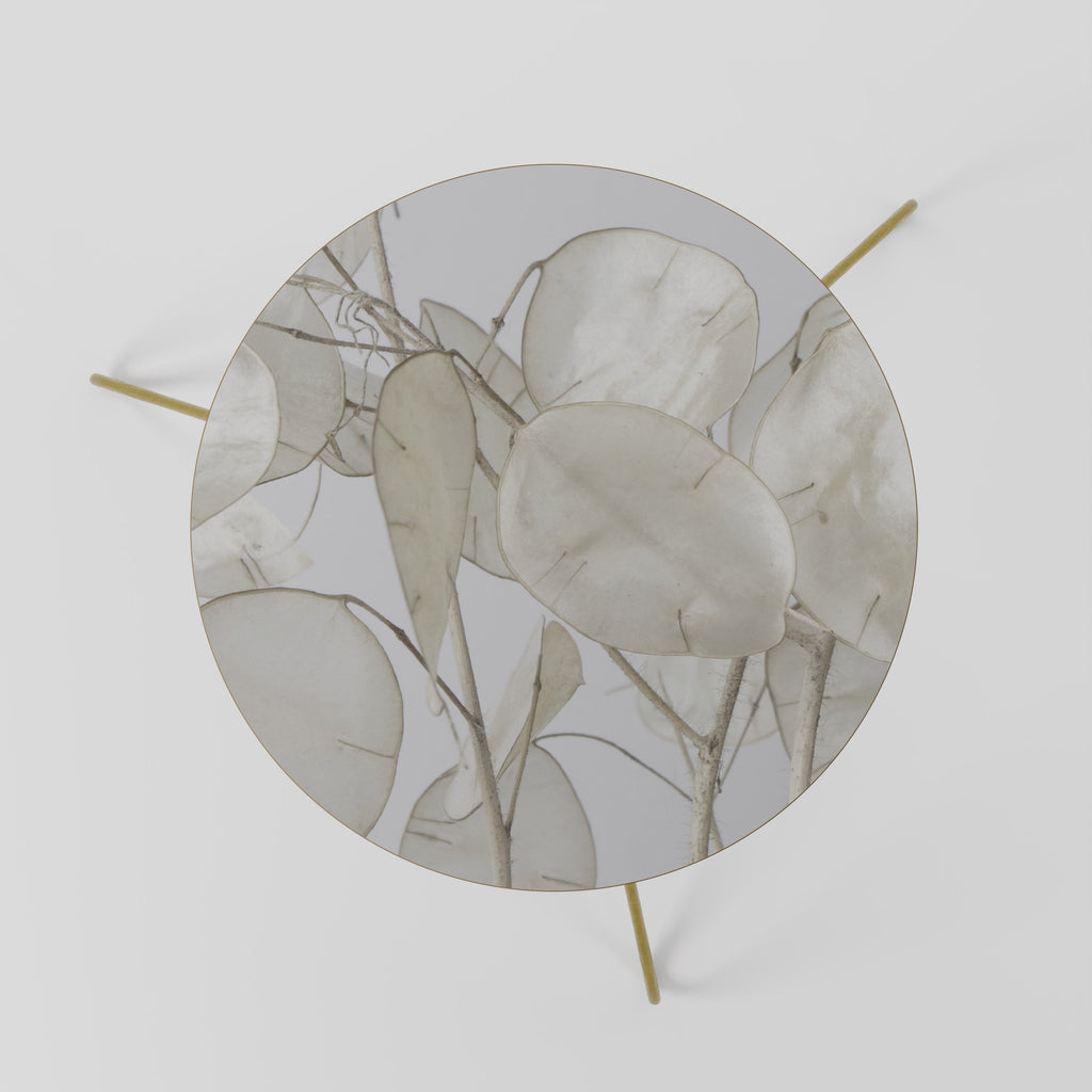 SILKY FOLIAGE WHISPERS Mesa de Centro 60