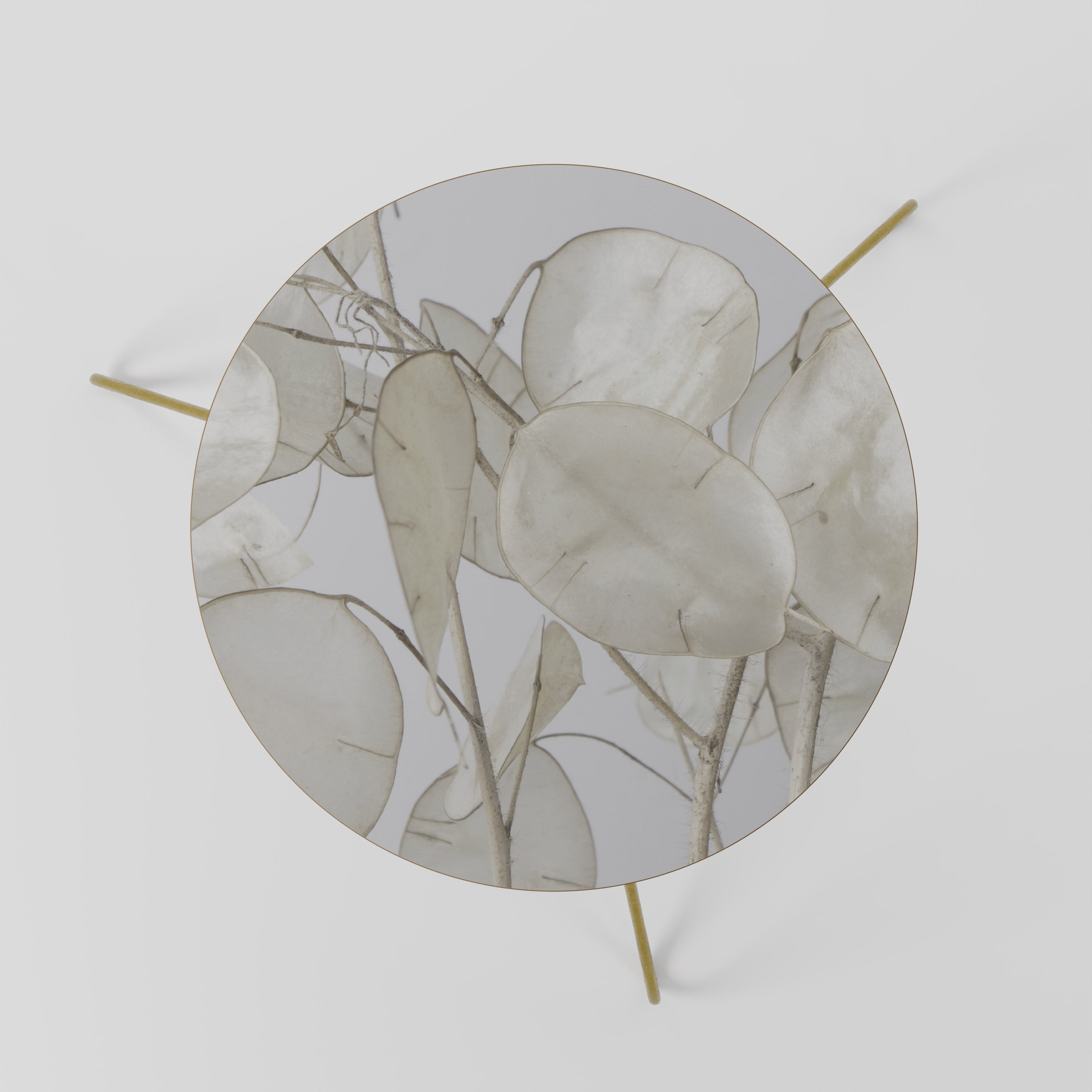 SILKY FOLIAGE WHISPERS Mesa de Centro 60