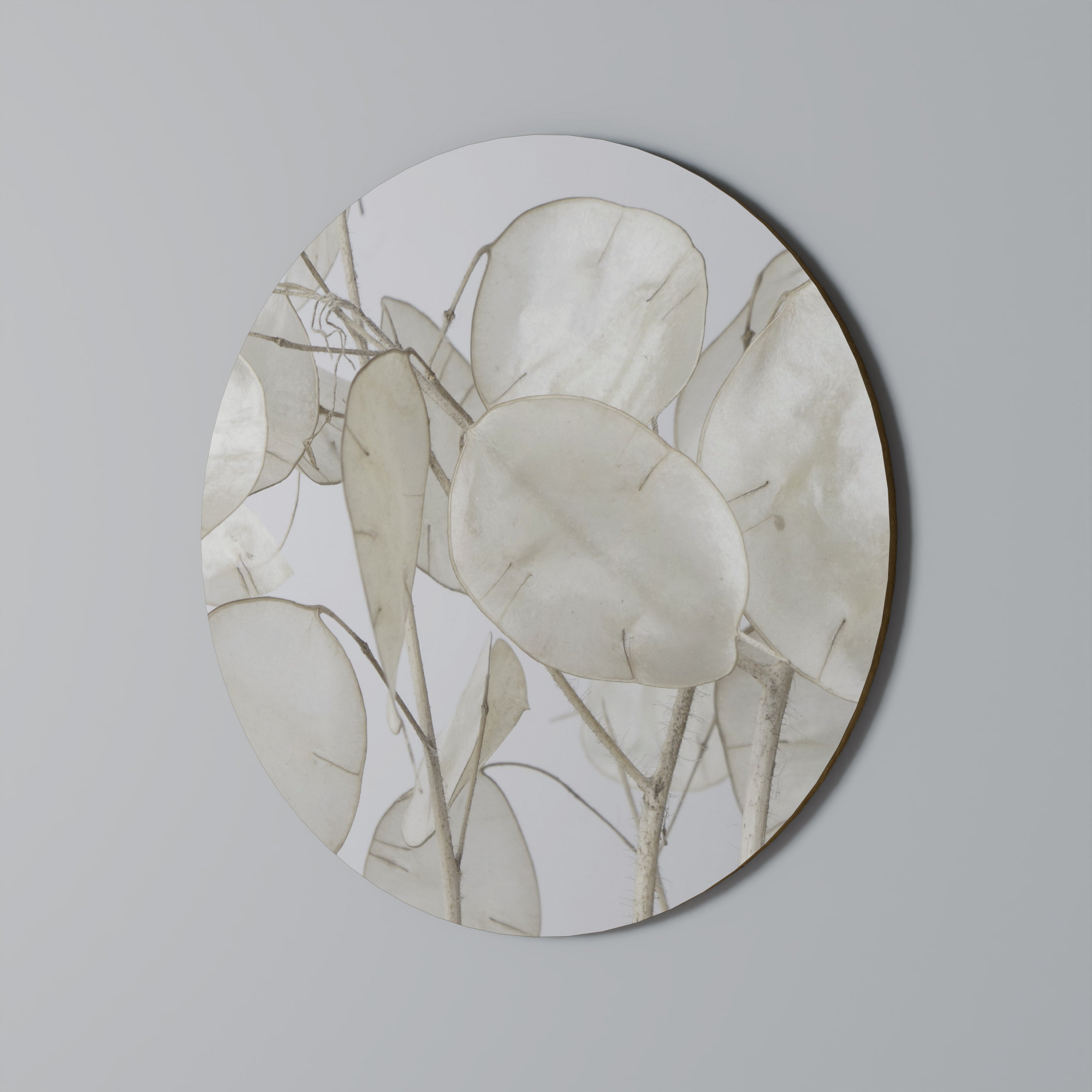 SILKY FOLIAGE WHISPERS Quadro Redondo Decorativo