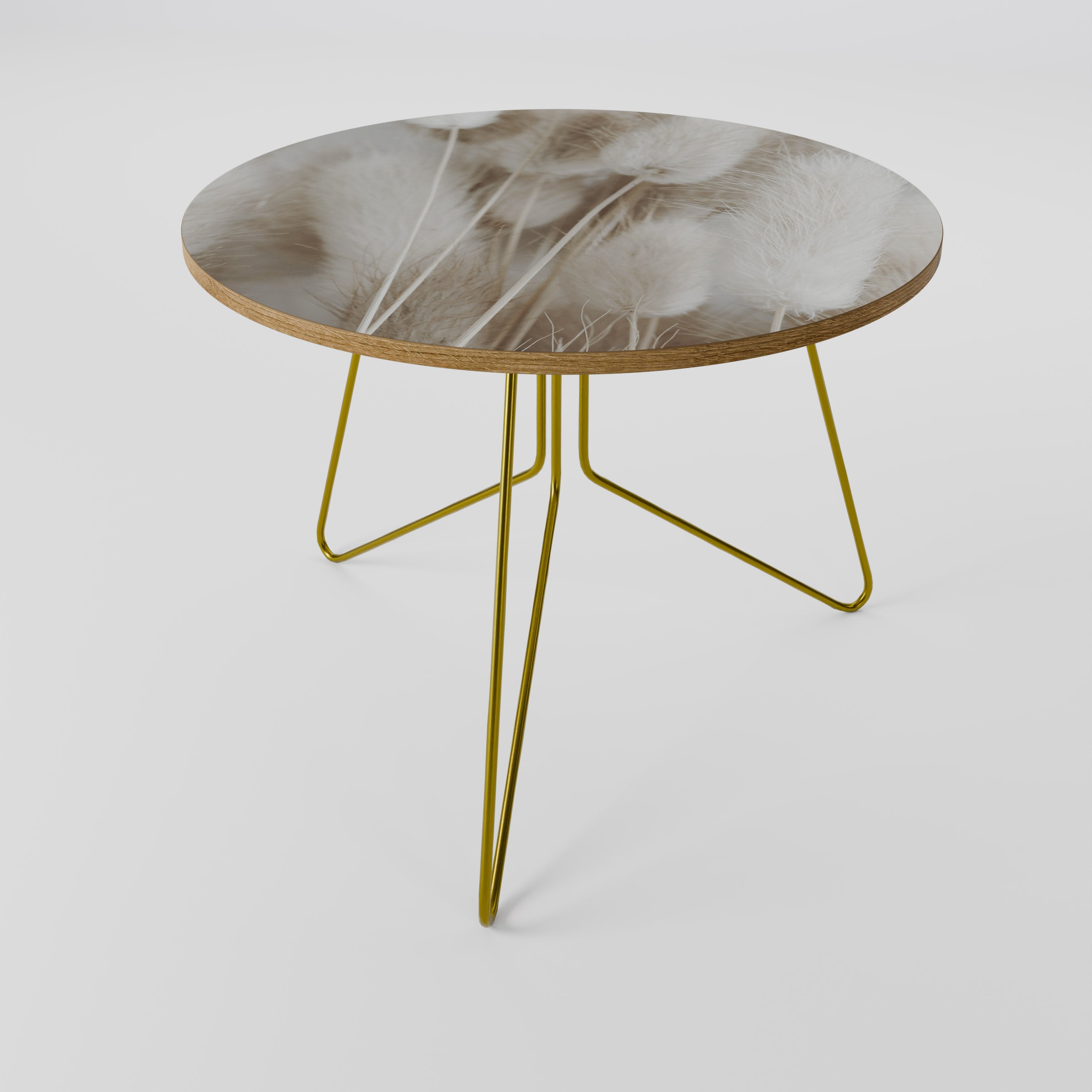 SOFTNESS IN FOCUS Mesa de Centro 69