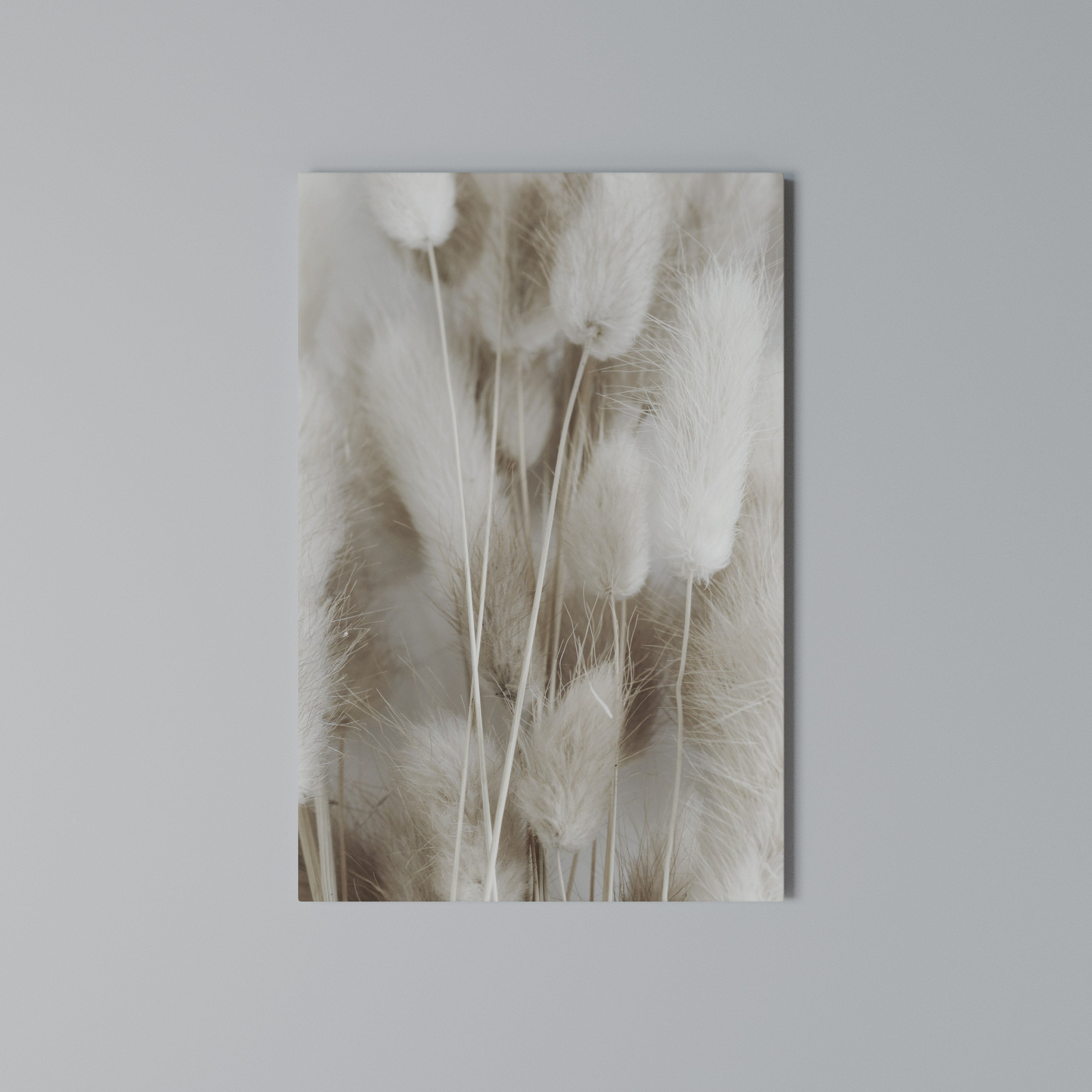 SOFTNESS IN FOCUS Quadro em tela vertical