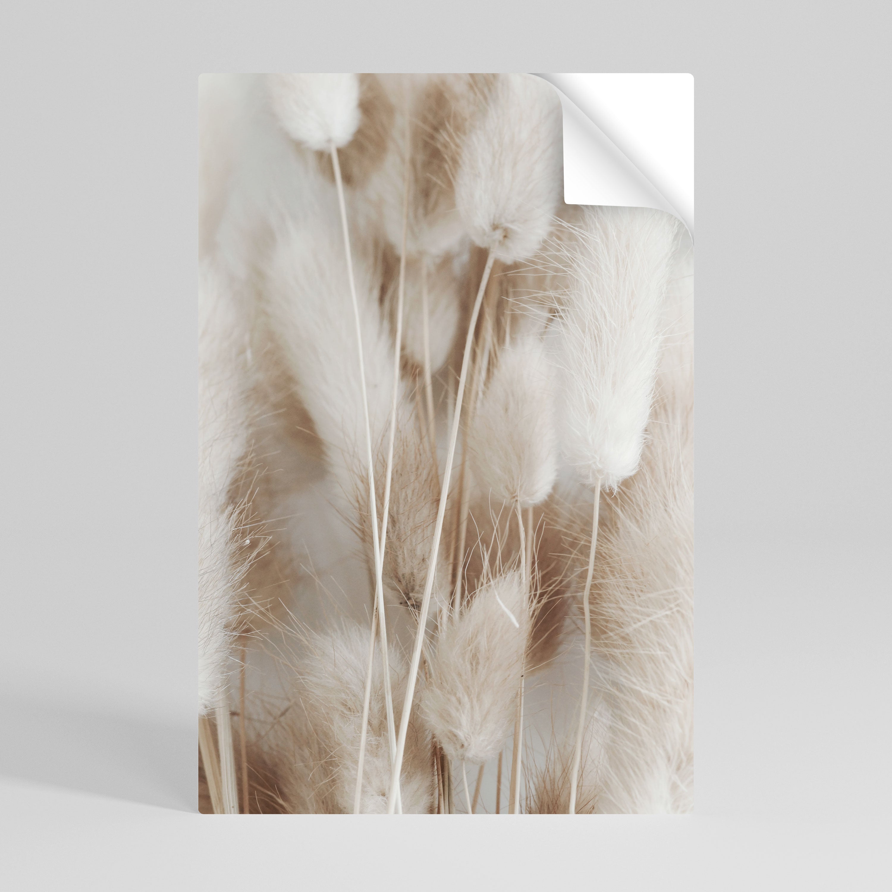 SOFTNESS IN FOCUS Póster Autocolante Vertical