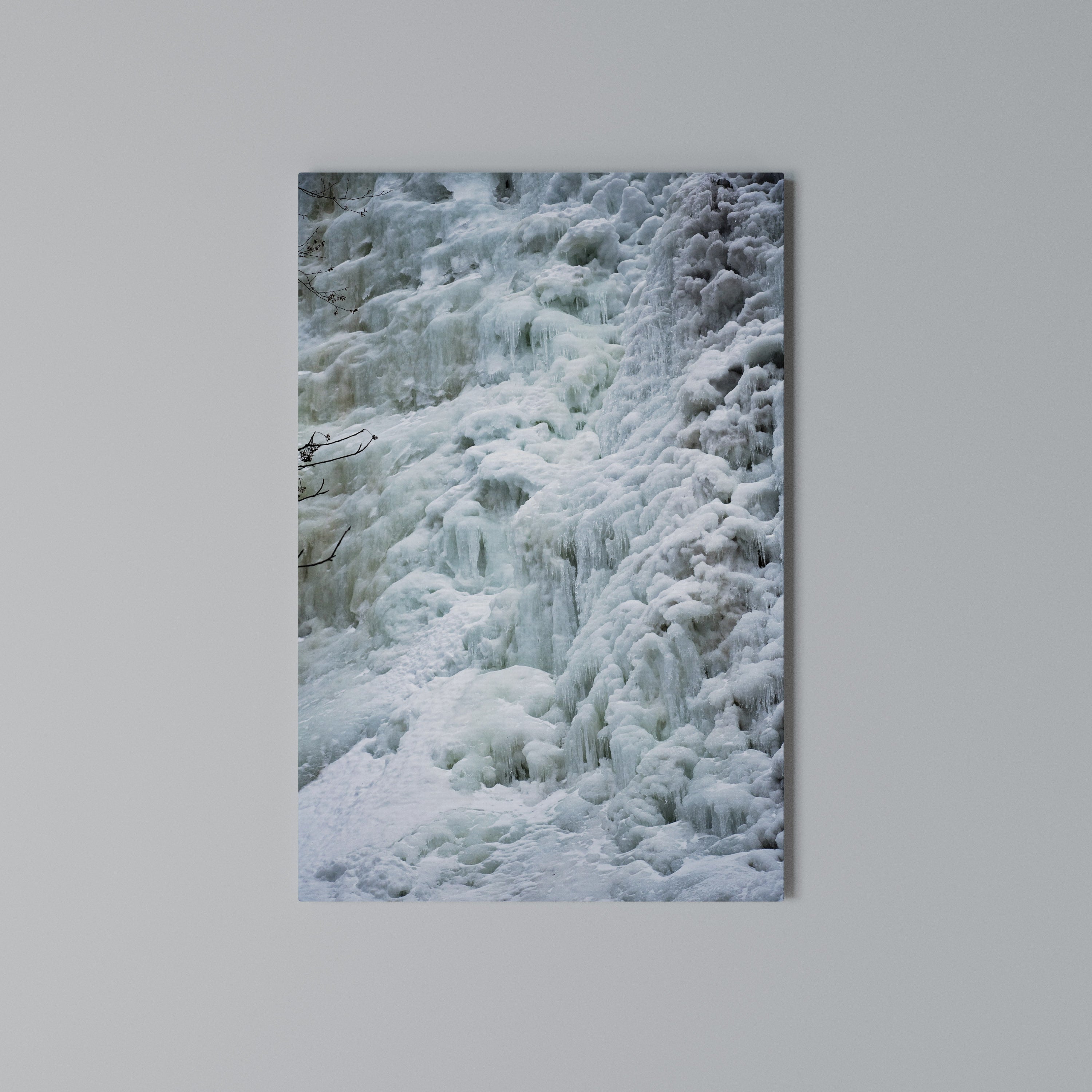 FROSTED WHISPERS Quadro em tela vertical
