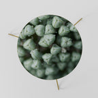 TEXTURED GREEN TIDBITS Mesa de Centro 60