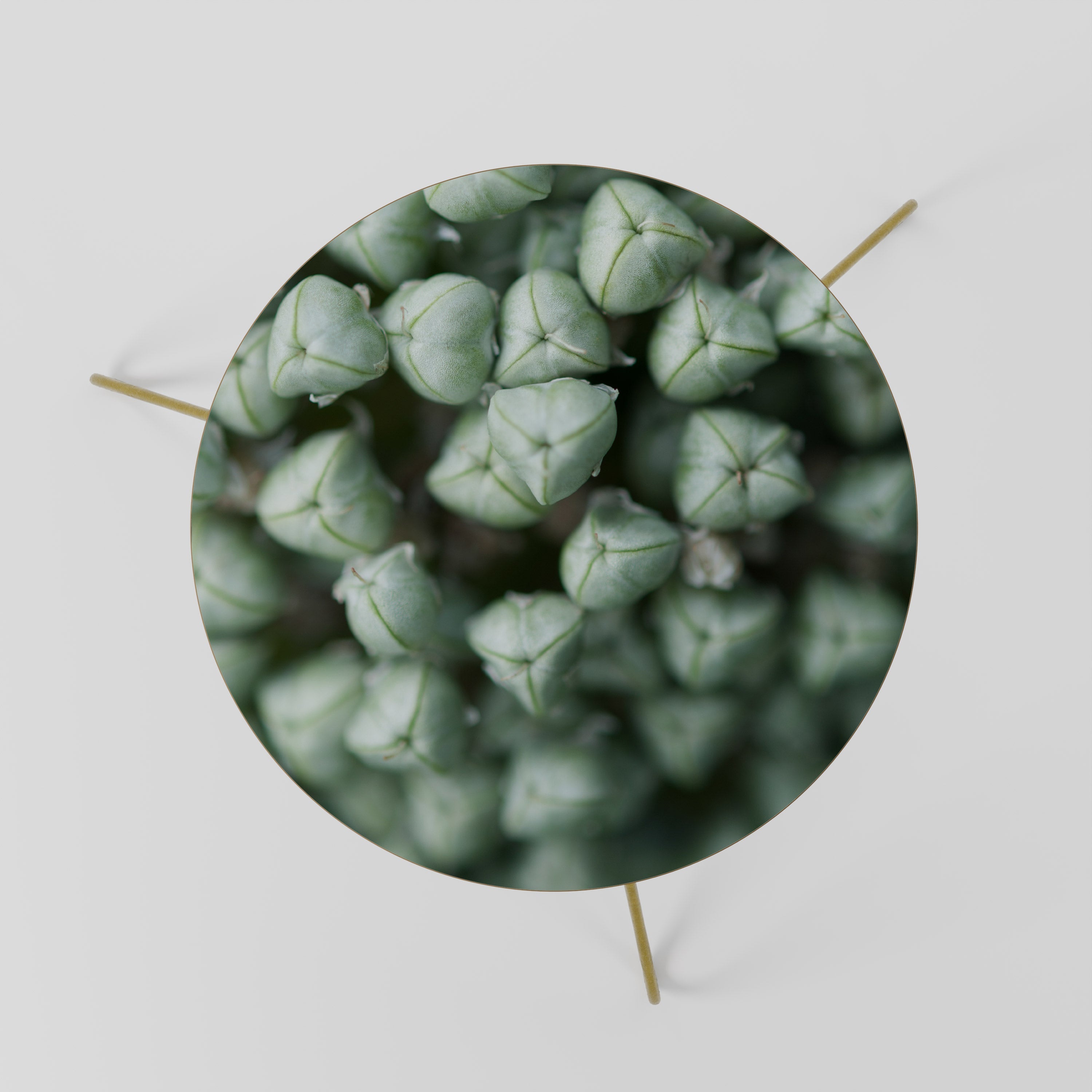 TEXTURED GREEN TIDBITS Mesa de Centro 60