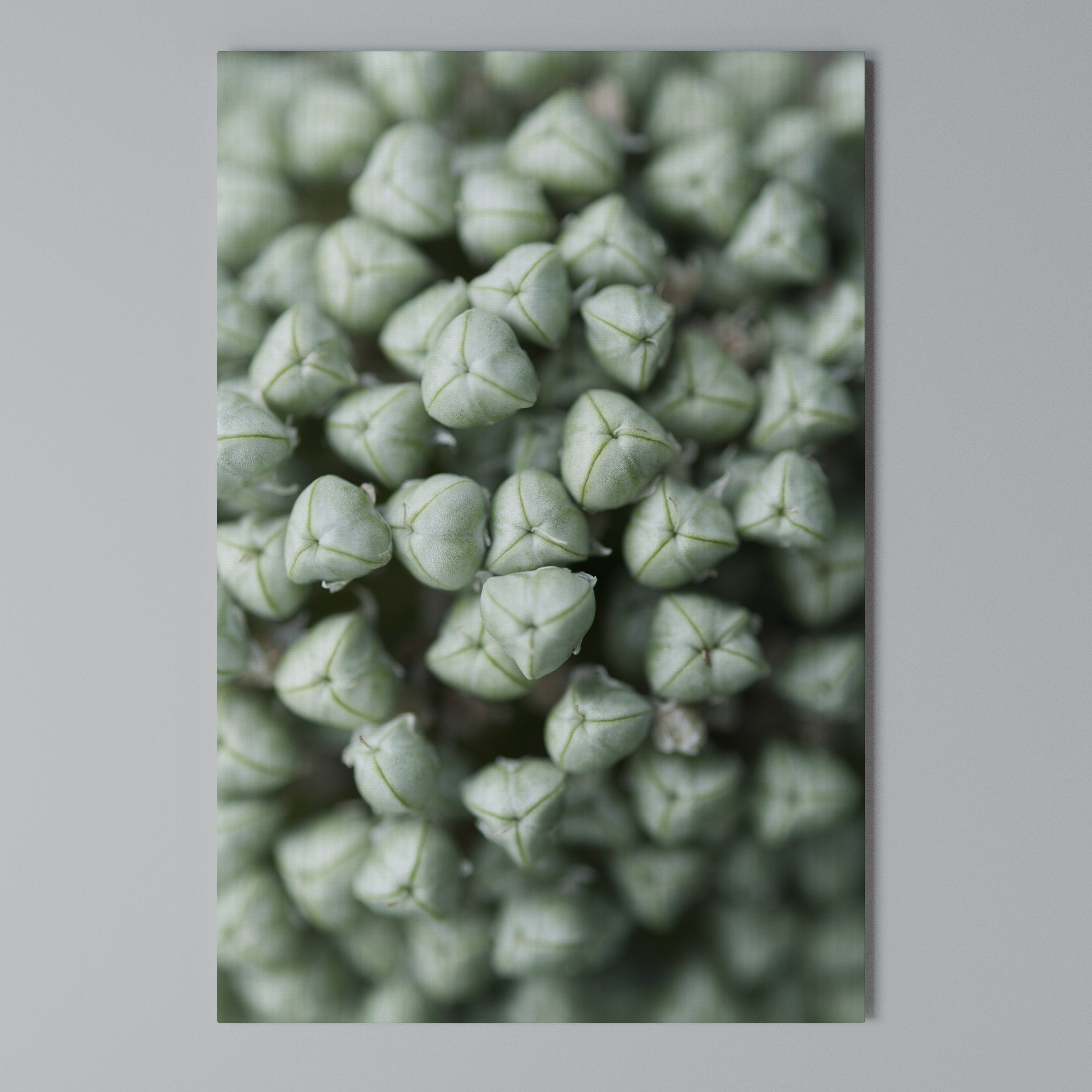 TEXTURED GREEN TIDBITS Quadro em tela vertical