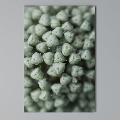 TEXTURED GREEN TIDBITS Quadro em tela vertical