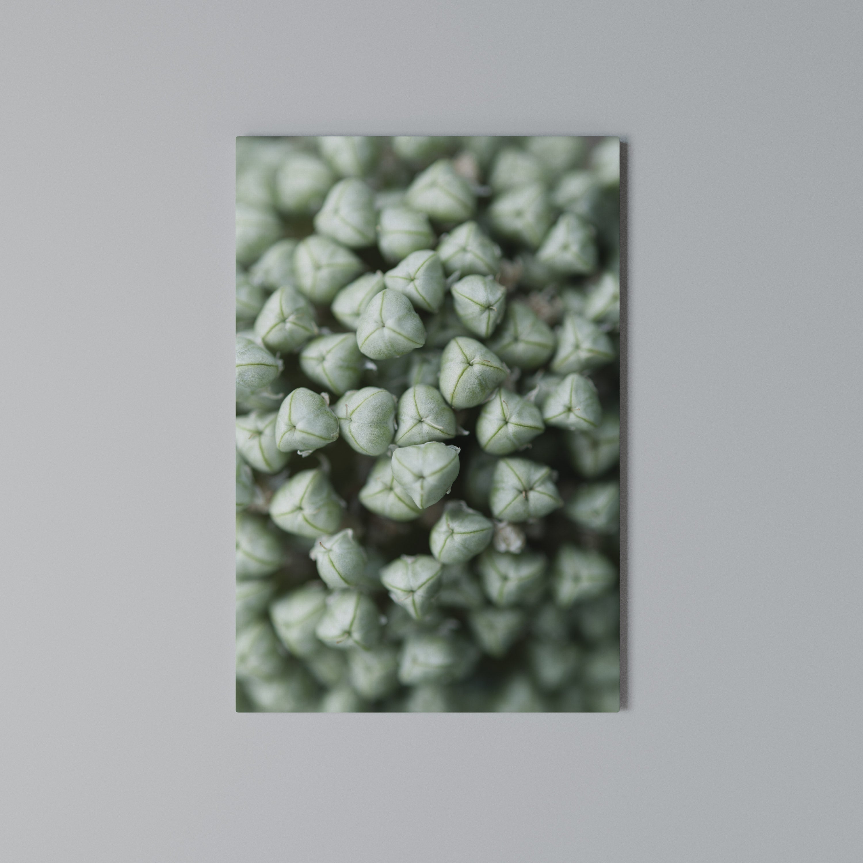 TEXTURED GREEN TIDBITS Quadro em tela vertical