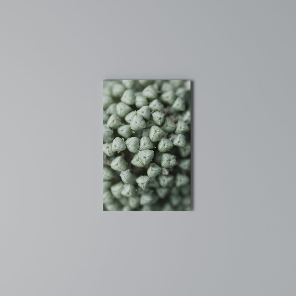 TEXTURED GREEN TIDBITS Quadro em tela vertical