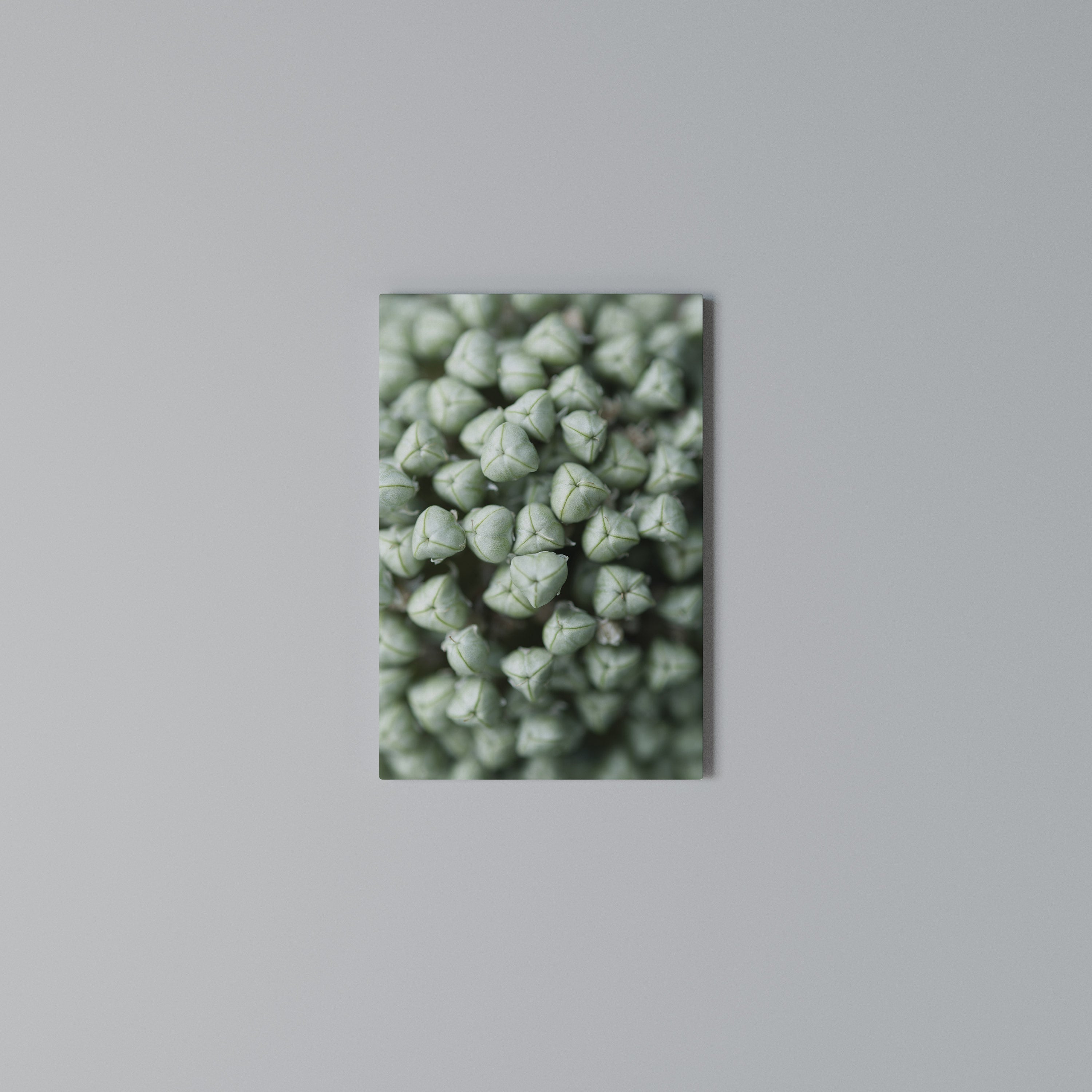 TEXTURED GREEN TIDBITS Quadro em tela vertical