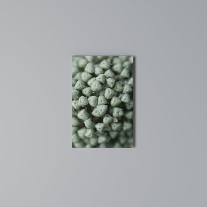 TEXTURED GREEN TIDBITS Quadro em tela vertical