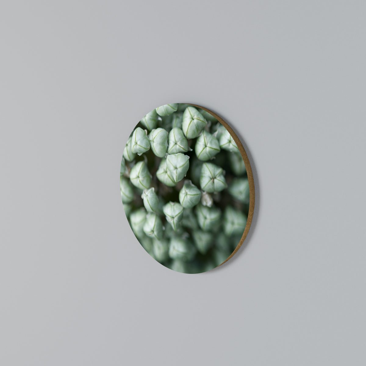 TEXTURED GREEN TIDBITS Round Wall Art
