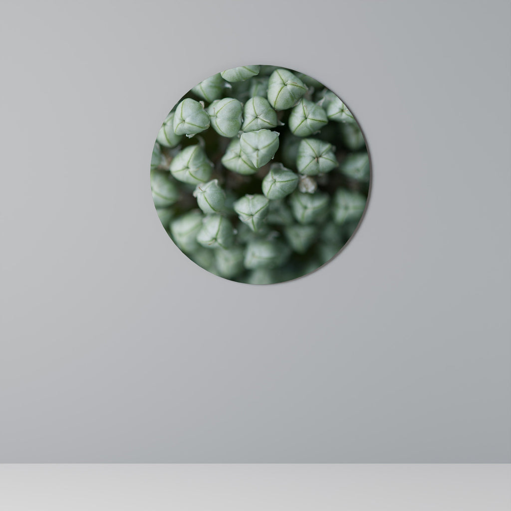 TEXTURED GREEN TIDBITS Round Wall Art