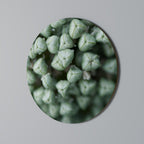 TEXTURED GREEN TIDBITS Round Wall Art