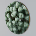 TEXTURED GREEN TIDBITS Round Wall Art