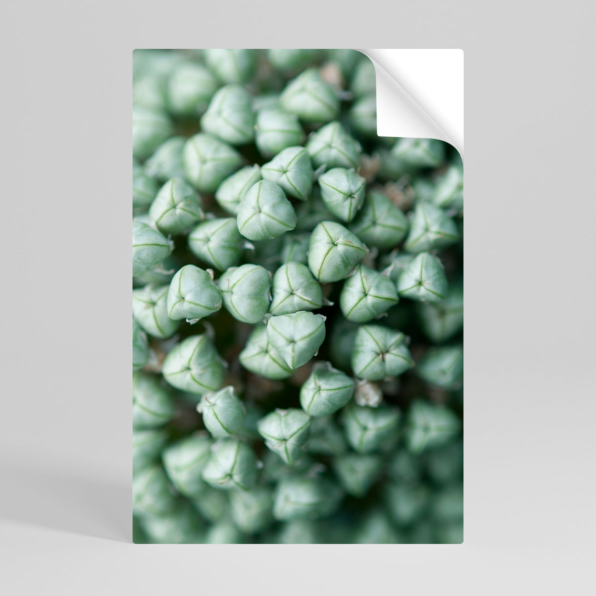 TEXTURED GREEN TIDBITS Póster Autocolante Vertical