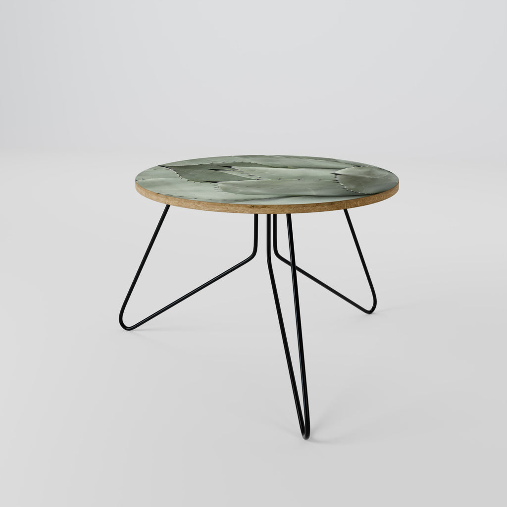 MYSTICAL SUCCULENT DREAM Mesa de Centro 60