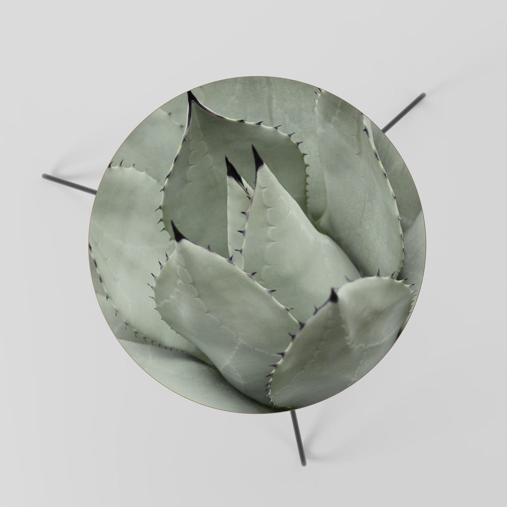 MYSTICAL SUCCULENT DREAM Mesa de Centro 60