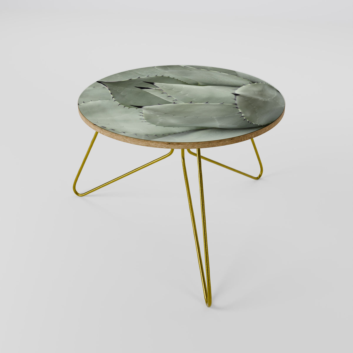 MYSTICAL SUCCULENT DREAM Coffee Table