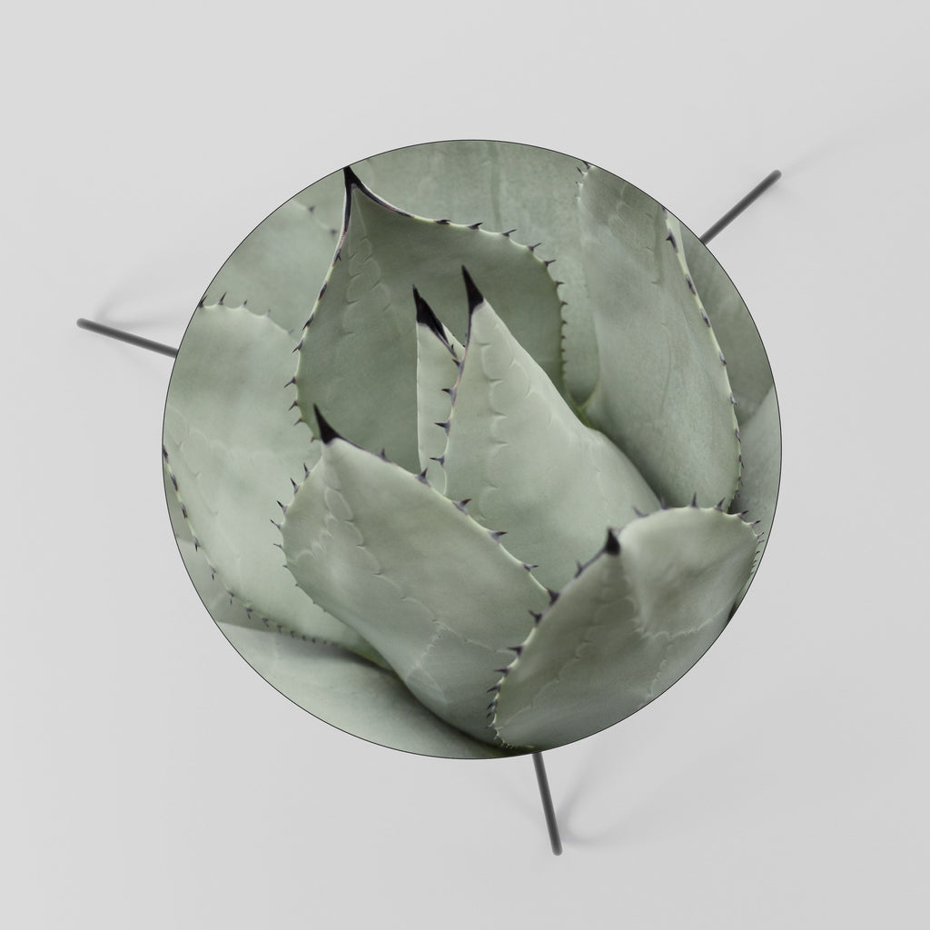 MYSTICAL SUCCULENT DREAM Mesa de Centro 60