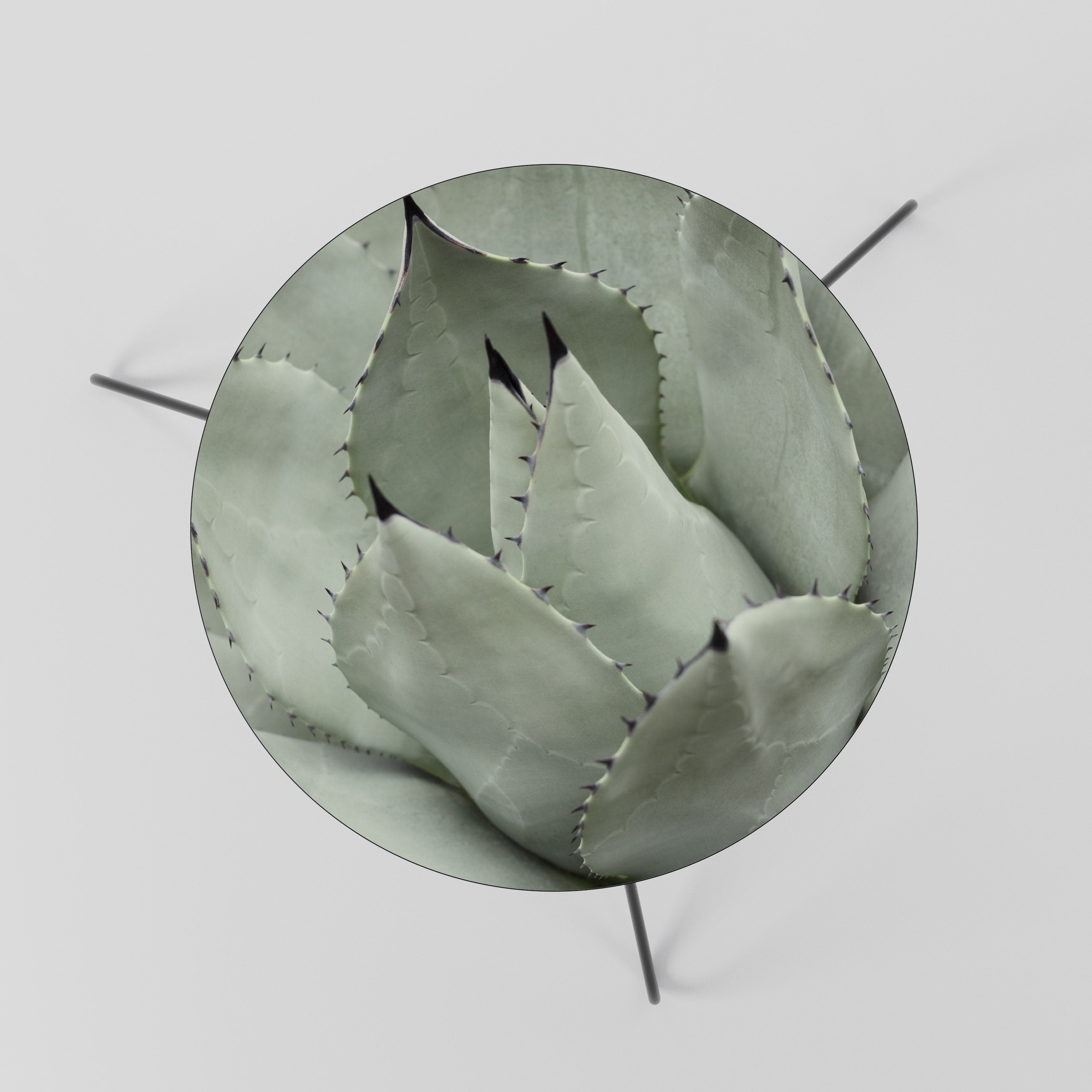 MYSTICAL SUCCULENT DREAM Mesa de Centro 60