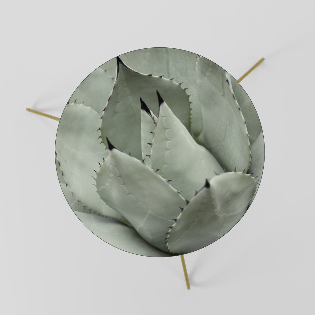 MYSTICAL SUCCULENT DREAM Mesa de Centro 60