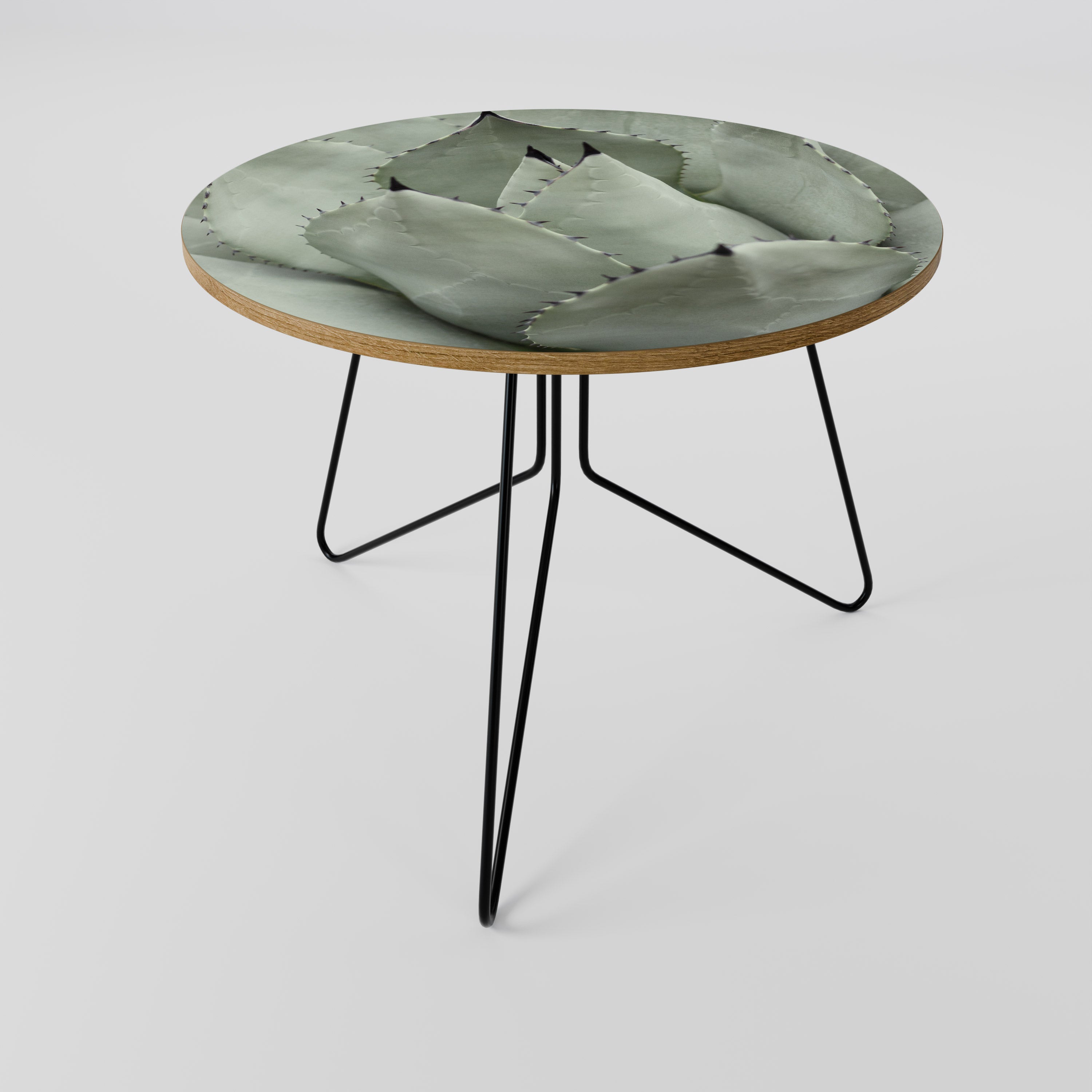 MYSTICAL SUCCULENT DREAM Mesa de Centro 69