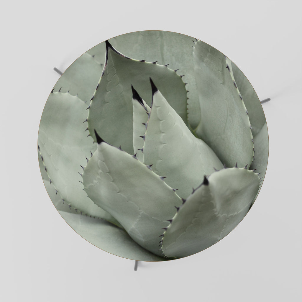 MYSTICAL SUCCULENT DREAM Mesa de Centro 69