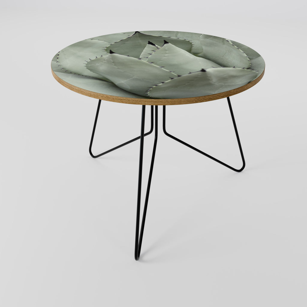 MYSTICAL SUCCULENT DREAM Coffee Table