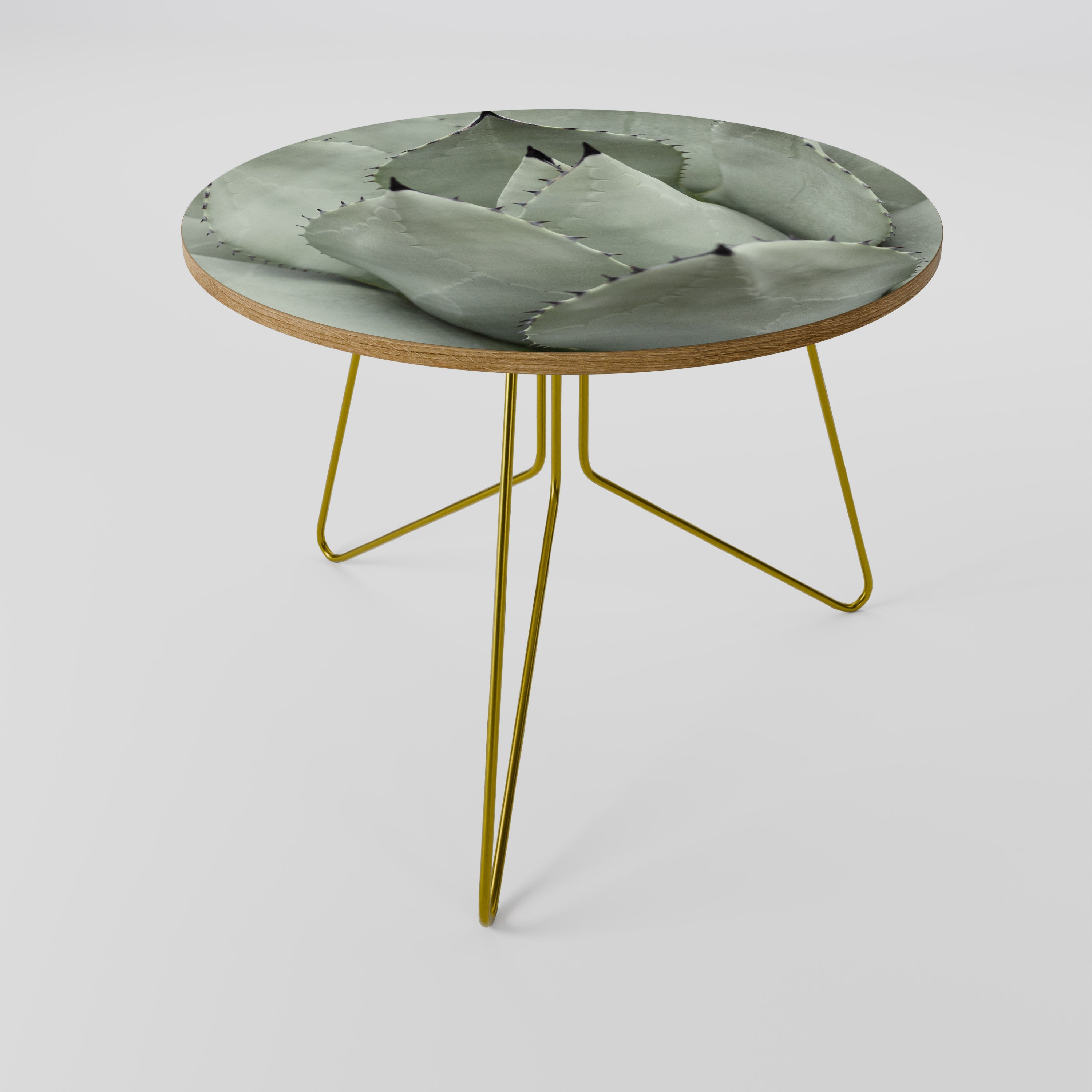 MYSTICAL SUCCULENT DREAM Mesa de Centro 69