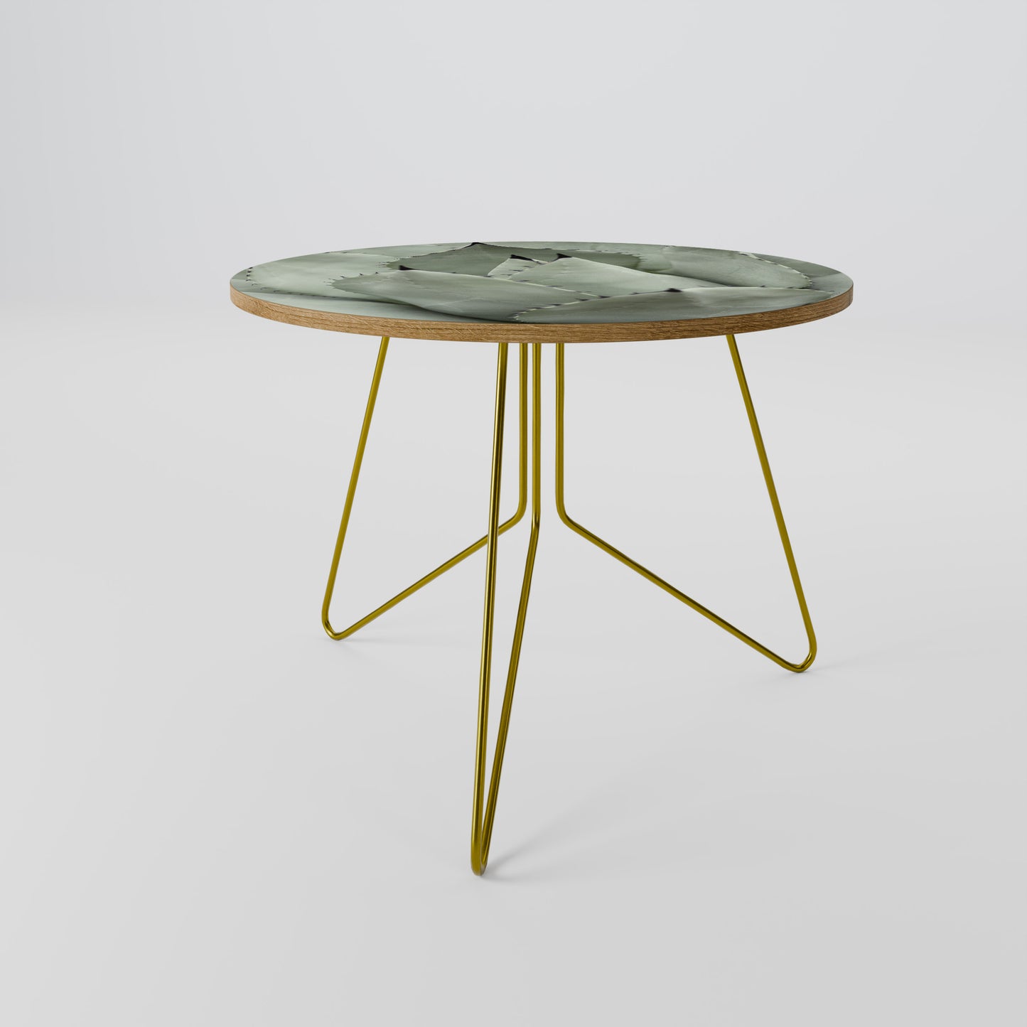 MYSTICAL SUCCULENT DREAM Coffee Table