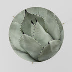 MYSTICAL SUCCULENT DREAM Mesa de Centro 69