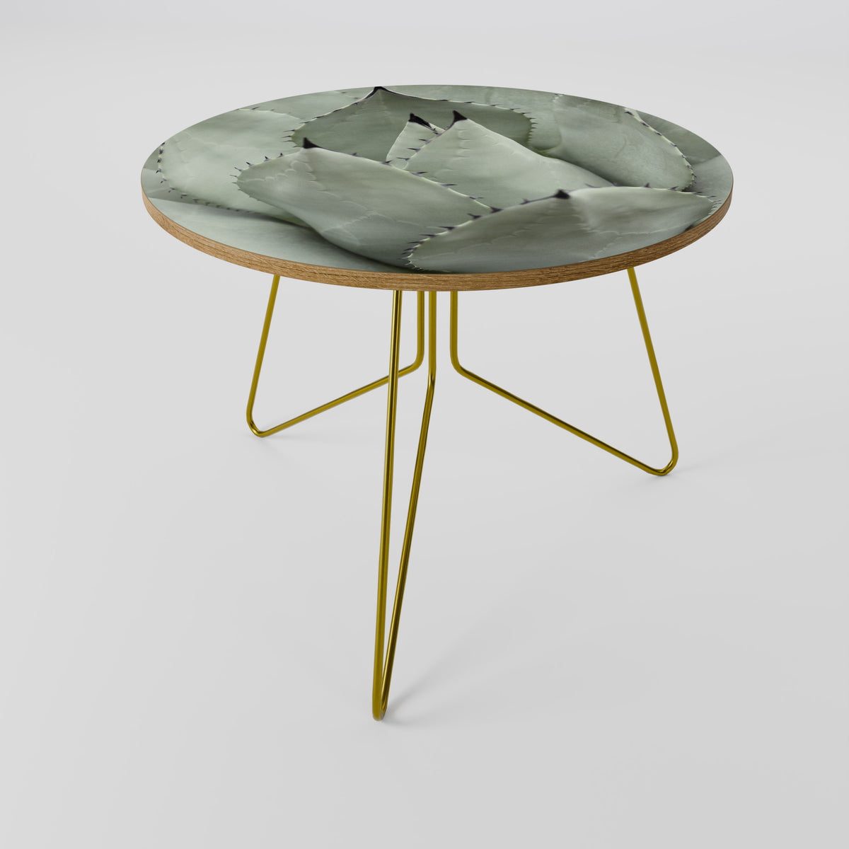 MYSTICAL SUCCULENT DREAM Coffee Table