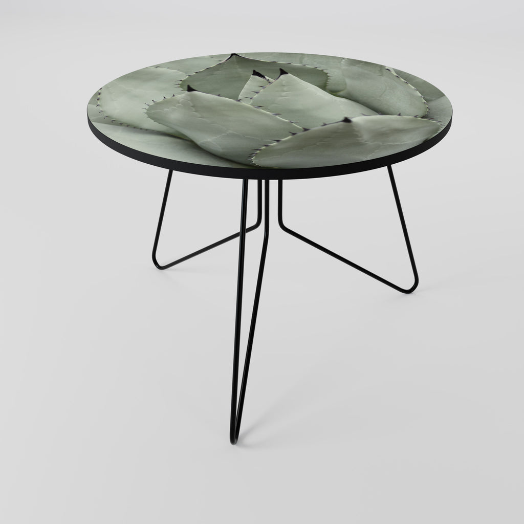 MYSTICAL SUCCULENT DREAM Coffee Table