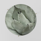 MYSTICAL SUCCULENT DREAM Mesa de Centro 69