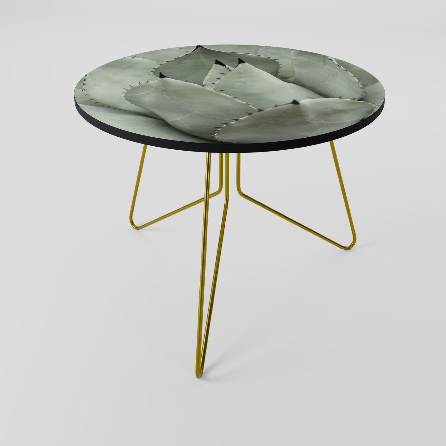 MYSTICAL SUCCULENT DREAM Coffee Table