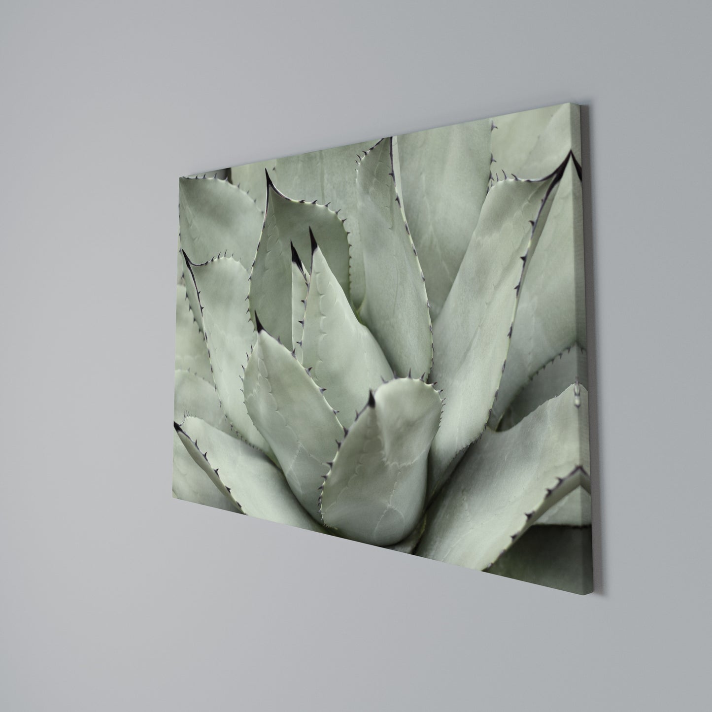 MYSTICAL SUCCULENT DREAM Horizontal Canvas Print