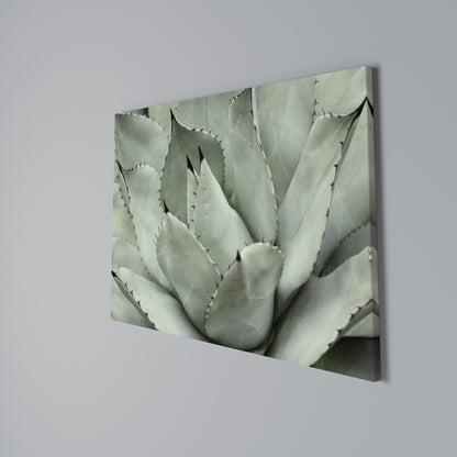 MYSTICAL SUCCULENT DREAM Horizontal Canvas Print