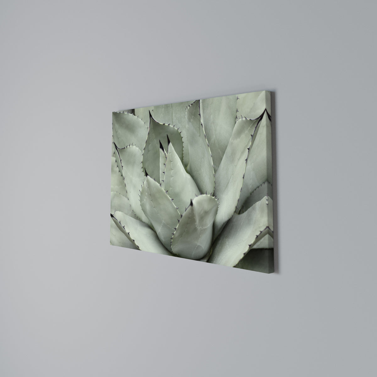 MYSTICAL SUCCULENT DREAM Horizontal Canvas Print