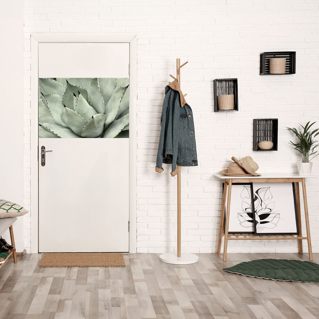 MYSTICAL SUCCULENT DREAM Peel and Stick Horizontal Poster