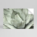 MYSTICAL SUCCULENT DREAM Peel and Stick Horizontal Poster