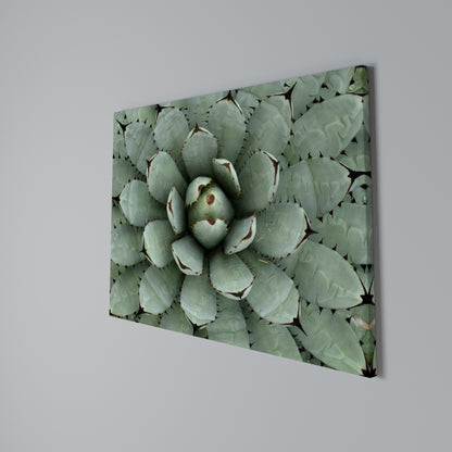 SUCCULENT SYMMETRY Horizontal Canvas Print