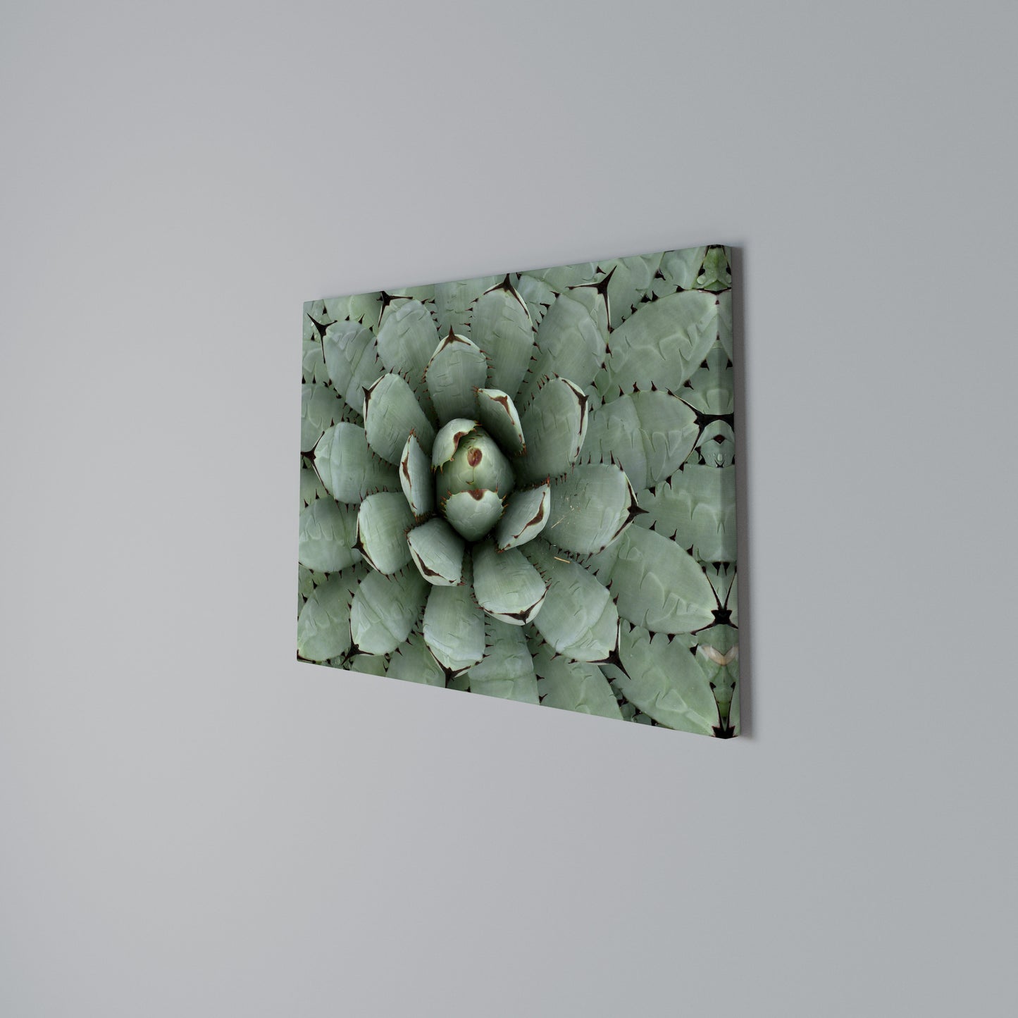 SUCCULENT SYMMETRY Horizontal Canvas Print