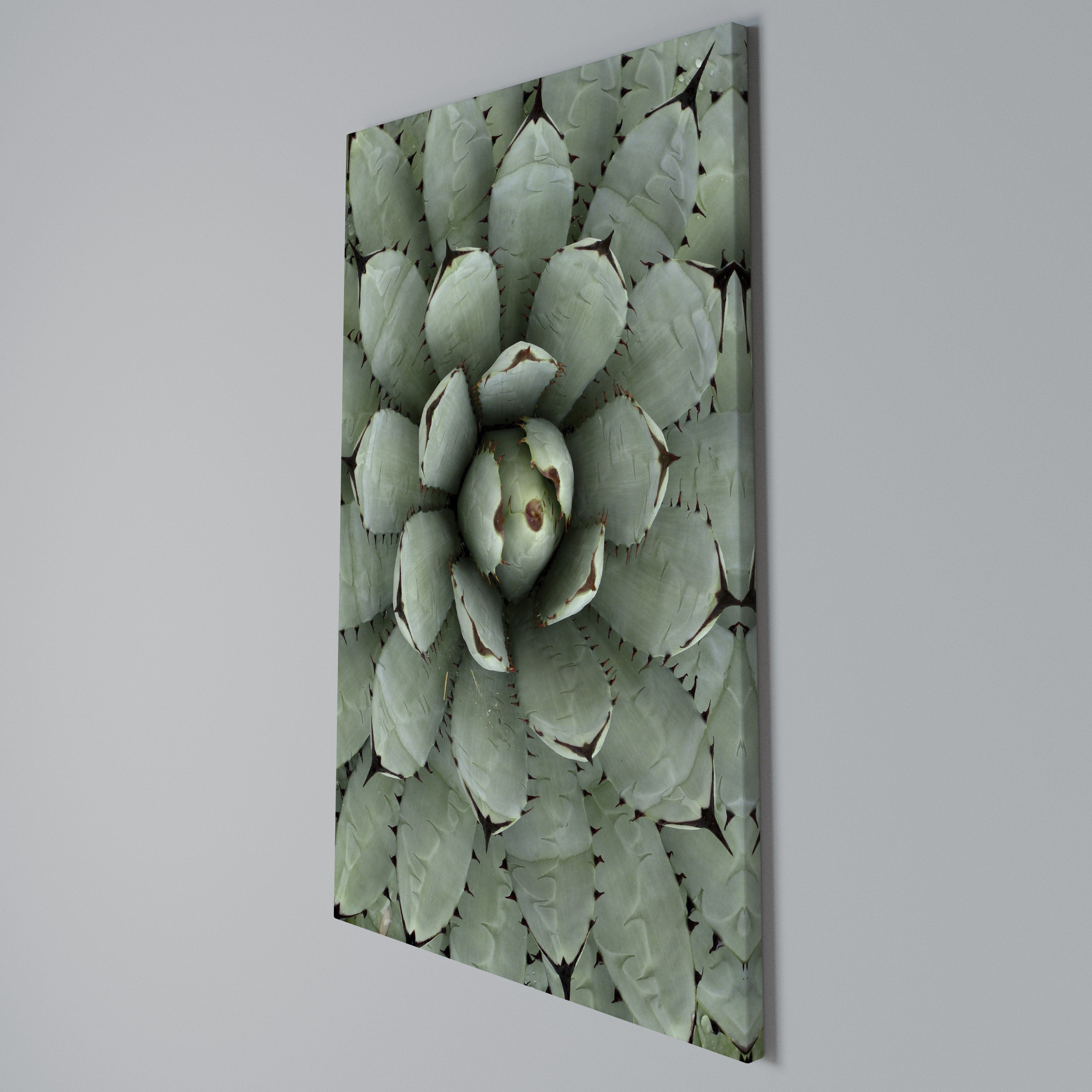 SUCCULENT SYMMETRY Quadro em tela vertical