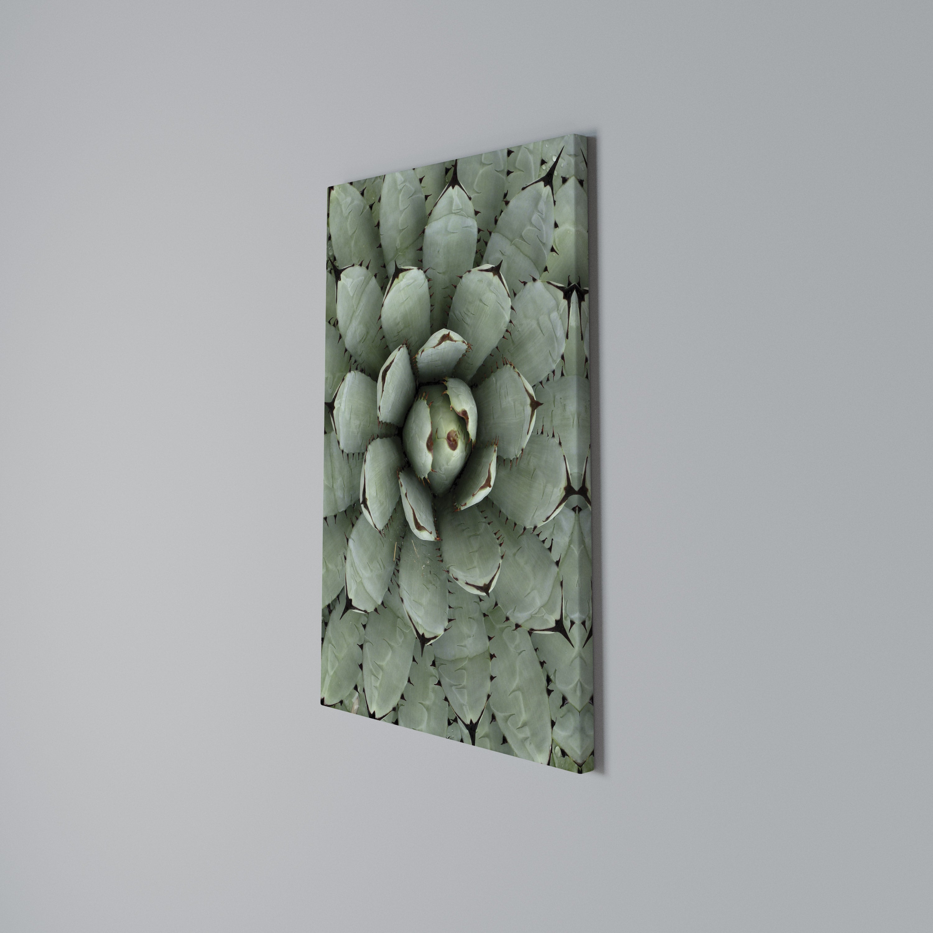 SUCCULENT SYMMETRY Quadro em tela vertical