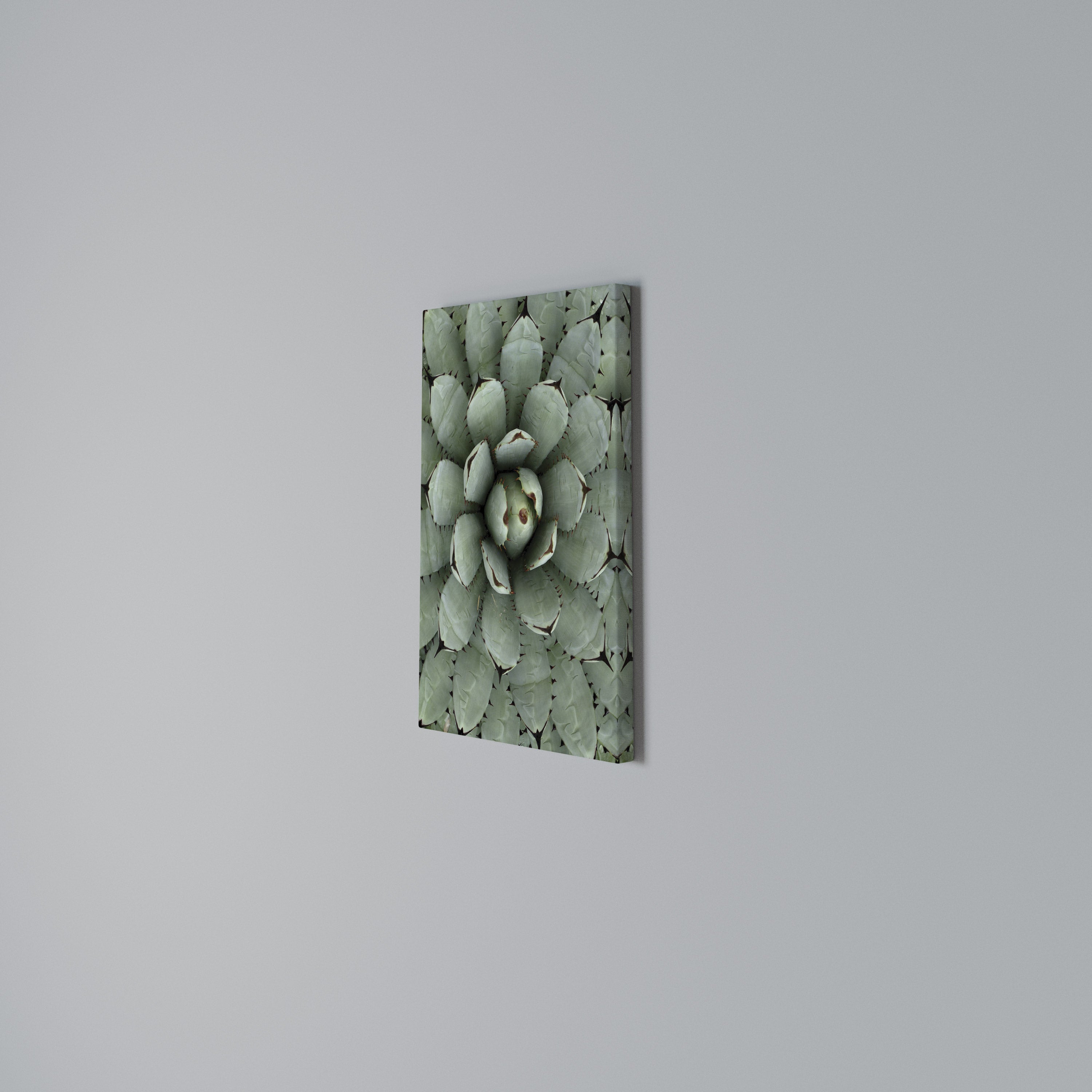 SUCCULENT SYMMETRY Quadro em tela vertical
